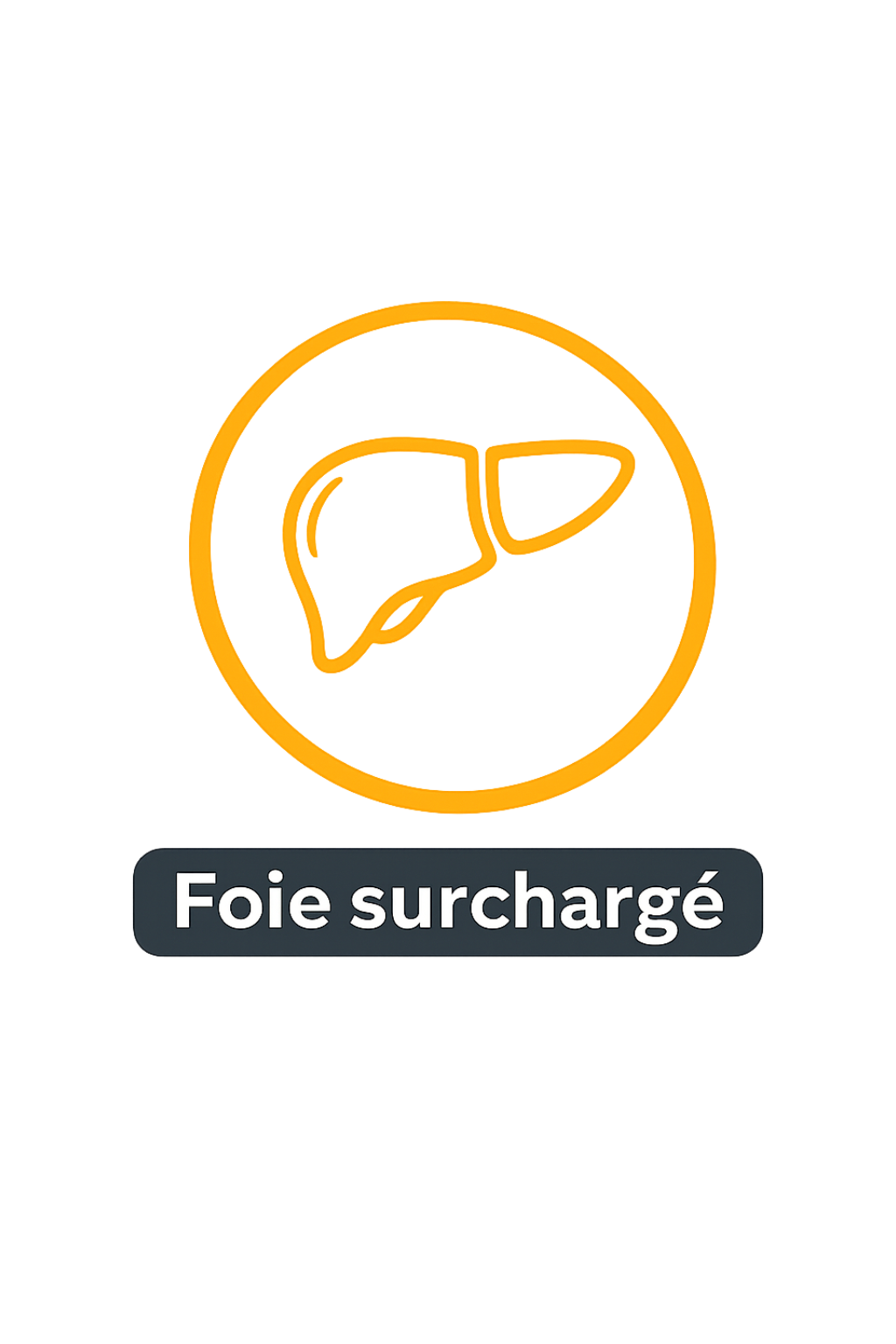 Foie surchargé